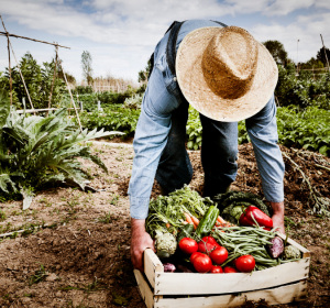 Farmworker